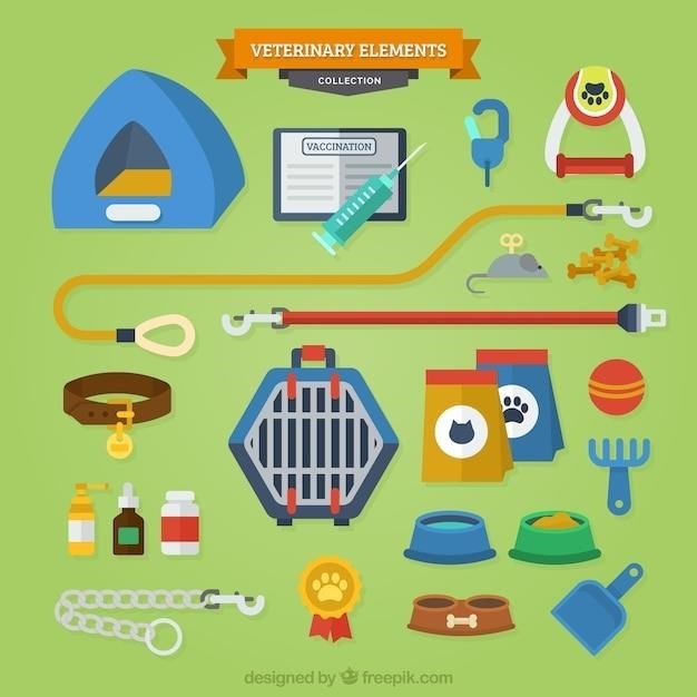 pitpet automatic pet feeder manual